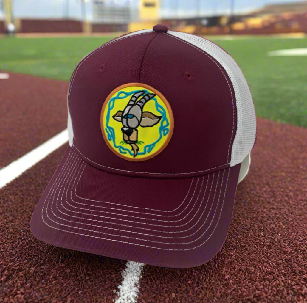 Team Minnesota
