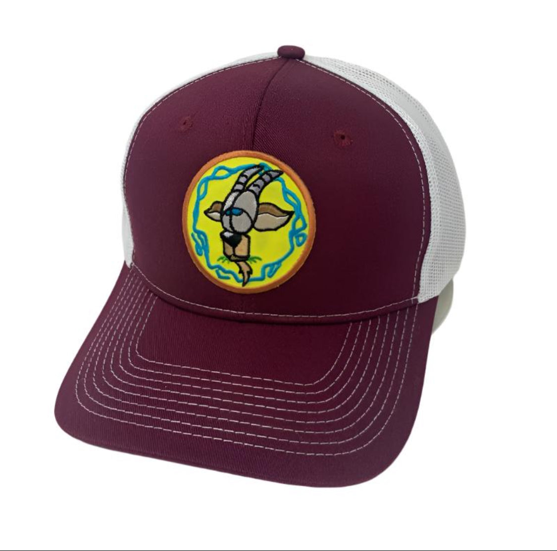 Team Minnesota