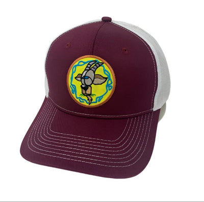 Team Minnesota
